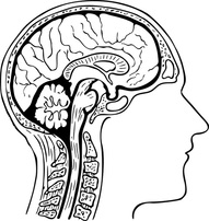 Neck Pain Neck Pain